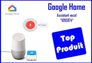 GOOGLE HOME ASSISTANT VOCAL