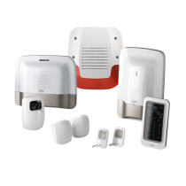 Anti-intrusion - Effraction - Alarme - Incendie