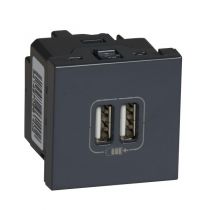 Chargeur double usb anthracite 2,4 a mosaic legrand (079194)