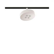 PISTE AIMANT COOKIE BLANC 12W 38º 2700K(4772)