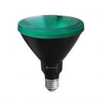 Lampe PAR 38 VERT 15W E27 220V 30º LED VERT (3579)