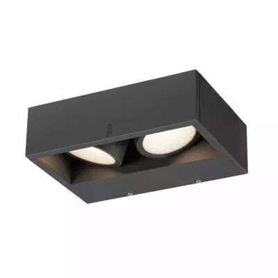 ESKINA FRAME WL double, applique, ext�rieur, anthracite, 27 W max, 240V (1006314)