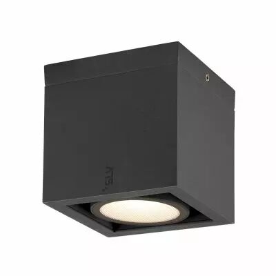 ESKINA FRAME CL simple, plafonnier, ext�rieur, anthracite, 15 W max, 240V (1006316)