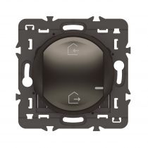 Commande sans fils Départ/Arrivée Céliane with Netatmo sans plaque graphite (064874A)