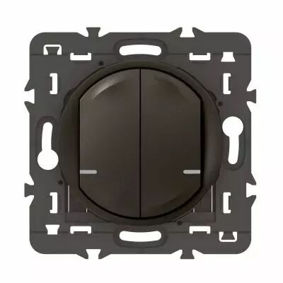 Cde double sans fils �clairage/prise C�liane with Netatmo sans plaque graphite (064894A)