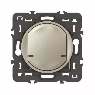 Cde double sans fils �clairage/prise C�liane with Netatmo sans plaque titane (067774A)