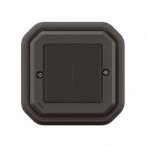 Commande double Self-e éclairage et prise Plexo with Netatmo complet anthracite (069836L)