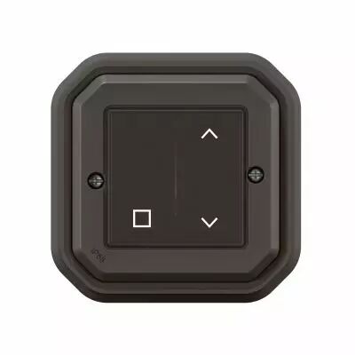 Commande Self-e pour volets roulants Plexo with Netatmo complet anthracite (069883L)