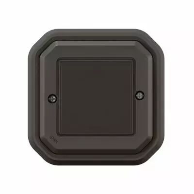 Commande Self-e pour �clairage et prise Plexo with Netatmo complet anthracite (069894L)