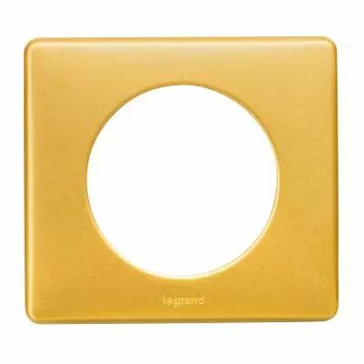 Plaque C�liane M�tal 1 poste - finition Laiton (068791)