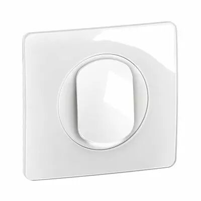 Interrupteur lumineux C�liane 10AX complet Blanc (CG1001)