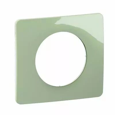 Plaque C�liane 1 poste - Vert C�ladon emballage GD (CP0521)
