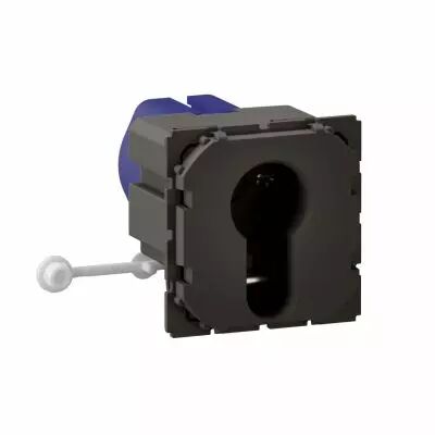Interrupteur � cl� C�liane 2 positions - 10A - 230V (CM0071)