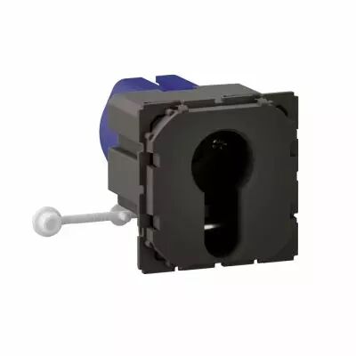 Poussoir � cl� C�liane 3 positions - 10A - 230V (CM0072)