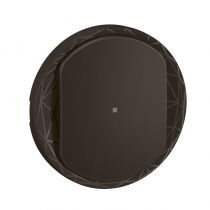 Enjoliveur interrupteur avec Neutre Céliane with Netatmo - Noir (CN1413)
