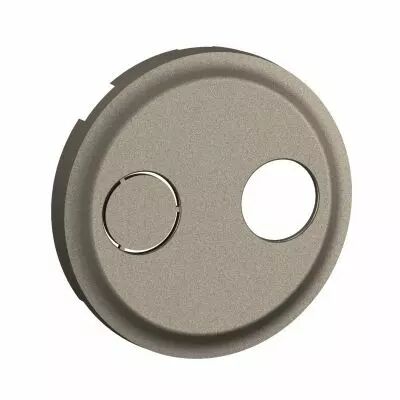 Enjoliveur prise r�seau c�bl� AFORM - double F � visser C�liane - Titanium (CT0399)