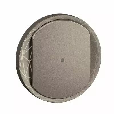 Enjoliveur interrupteur avec Neutre C�liane with Netatmo - Titanium (CT1413)