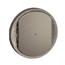 Enjoliveur interrupteur avec Neutre Céliane with Netatmo - Titanium (CT1413)
