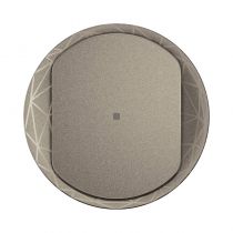 Enjoliveur interrupteur avec Neutre Céliane with Netatmo - Titanium (CT1413)