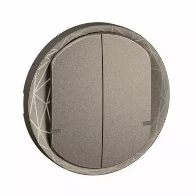 Enjoliveur interrupteur double C�liane with Netatmo - Titanium (CT1415)