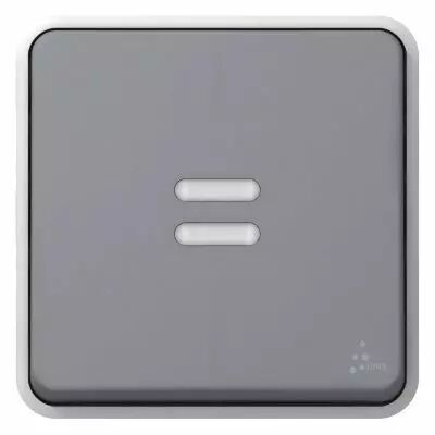 interrupteur temporis� lumineux plexo composable ip55 230v 50hz ou 60hz - gris (069504)