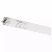 tubes fluorescents t8 luxline plus 30w 865 895mm g13 (0001078)