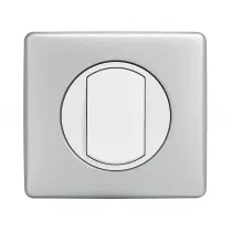 legrand-plaque c&eacute;liane 1 poste finition alu naturel (066781)