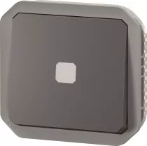 legrand-interrupteur temporis&eacute; lumineux plexo composable anthracite (069804l)