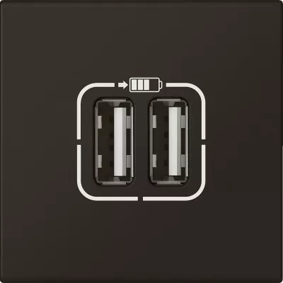 legrand-prises 2 usb type-a 2,4a 5v= 15w mosaic 2 modules 230v - noir mat (079194l)
