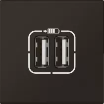 legrand-prises 2 usb type-a 2,4a 5v= 15w mosaic 2 modules 230v - noir mat (079194l)