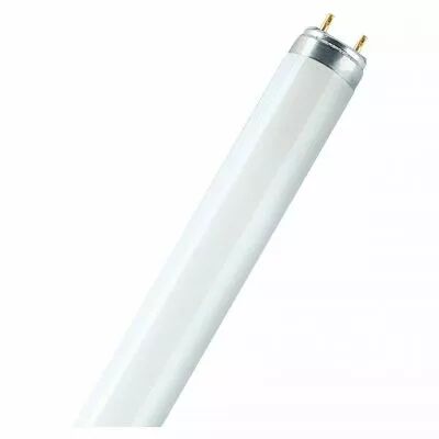 ledvance - lumilux t8 18w 840 (517797)