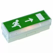 baes &eacute;vacuation standard - 45lm/1h - ip42 ik07 - livr&eacute; sans pictogrammes (lum10102)