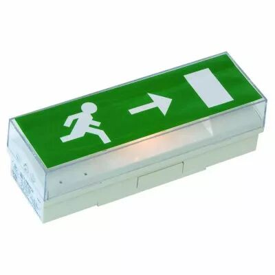 BAES �vacuation Standard - 45lm/1h - IP42 IK07 - Livr� sans pictogrammes (LUM10102)