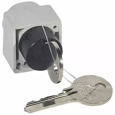 Serrure verrouillage Ronis pour commande motoris�e DPX 250/630 (026159)