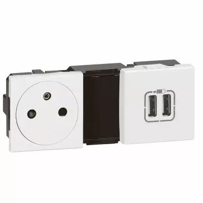 Prise Prog Mosaic + module de charge 2 micro USB 2400 mA pr�c�bl�es-blanc (077595)