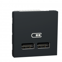 Unica - chargeur USB double - 5Vcc - 1A + 2,1A - 2 modules - Anthra - méca seul (NU341854)