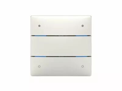 Bouton poussoir 4 canaux (4800414)