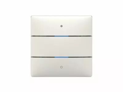 Bouton poussoir KNX 2 canaux (4969232)