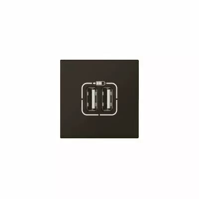 Double chargeur USB Type-A Mosaic 2,4A 2 modules - noir mat (099450)