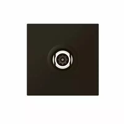 Prise TV Mosaic simple m�le 2 modules - noir mat (099454)