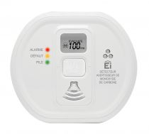 Ei208DW-Détec. CO Pile Lithium avec écran (35119)