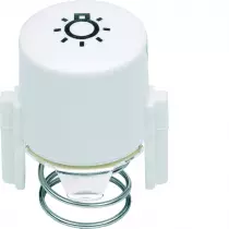 1930 Enjoliveur de poussoir à voyant E10 symbole lumière (WMV783L)