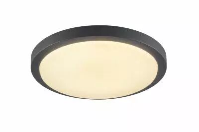 AINOS, applique et plafonnier ext�rieur, anthracite, LED, 21W, 3000K, IP44 (229965)