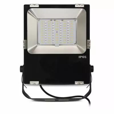 archeo rgb + blc project 50w cct 2700k a 6500k noir ip66 rf (80103)