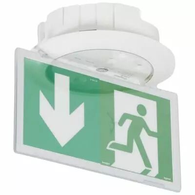 BAES+BAEH d\'�vacuation- Kickspot encastr� ECO1 -LEDs 45lm-1h plastique IP40-IK04 (062514)