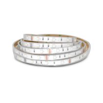 bande led couleurs 5 m 30 leds et 7,2 w / m ip67 24v silicon (75153s)