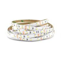 bandeau blc 6000k 5m 60led et 4.8w/m ip20 12v (75011)
