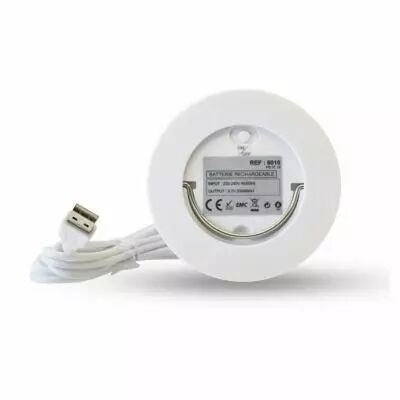 batterie rechargeable (6010)