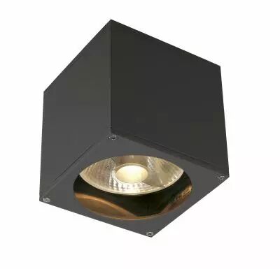 BIG THEO, applique ext�rieure, anthracite, GU10/QPAR111, 75W max, IP44 (229565)