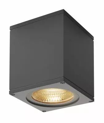 BIG THEO, applique ext�rieure, anthracite, LED, 21W, 3000K, IP44 (234525)